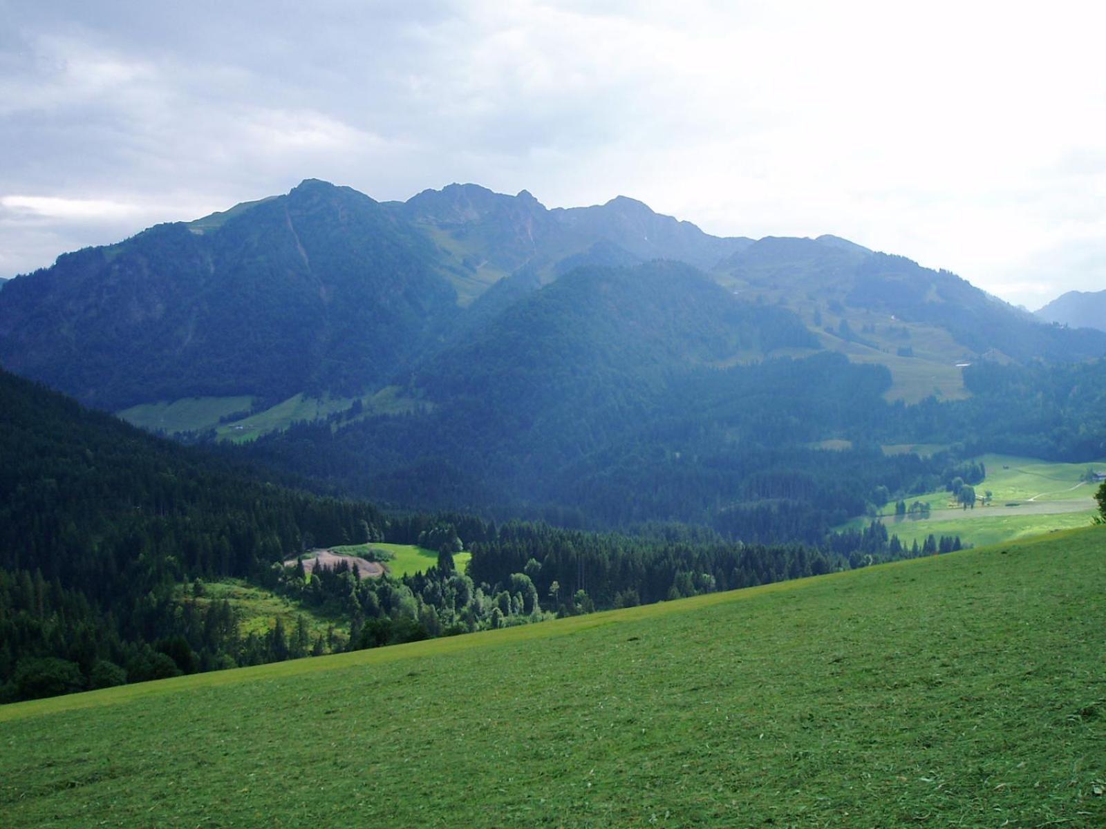 Hinterreith-Hof Leilighet Hochfilzen Eksteriør bilde