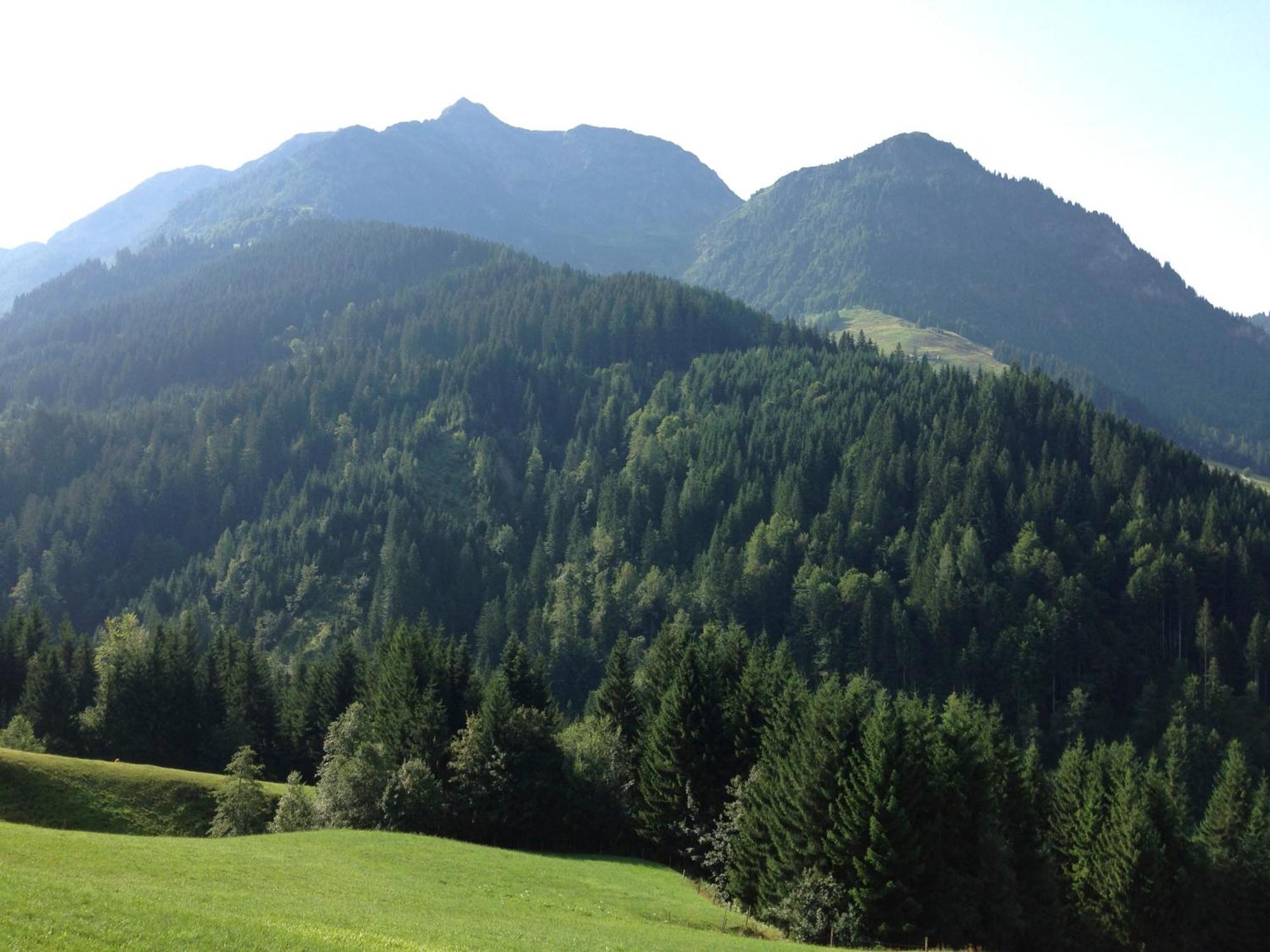 Hinterreith-Hof Leilighet Hochfilzen Eksteriør bilde